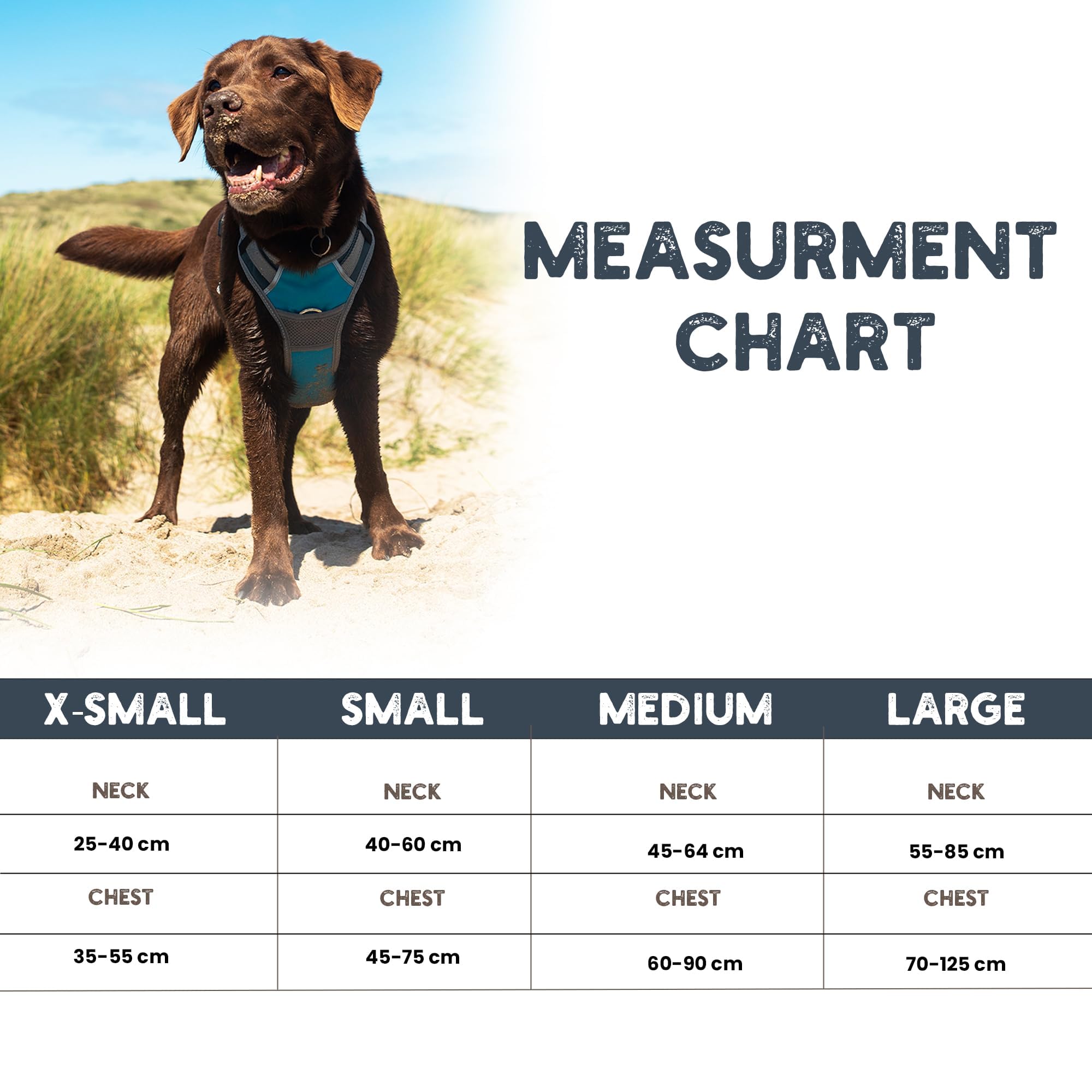 henry-wag-hunde-reisegeschirr-gr-e-l-mit-sicherheitsgurt-schlaufe image 4