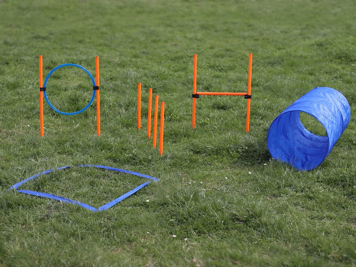 lemodo-agility-set-hunde-h-rde-tunnel-sprungring image 2