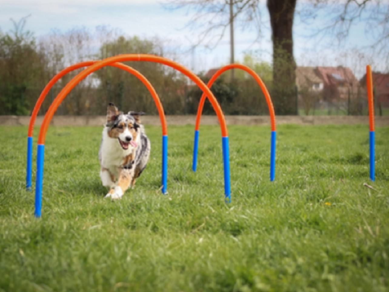 lemodo-hoopers-set-4-b-gen-agility-steckh-rden-mit-tasche-hundetraining image 4