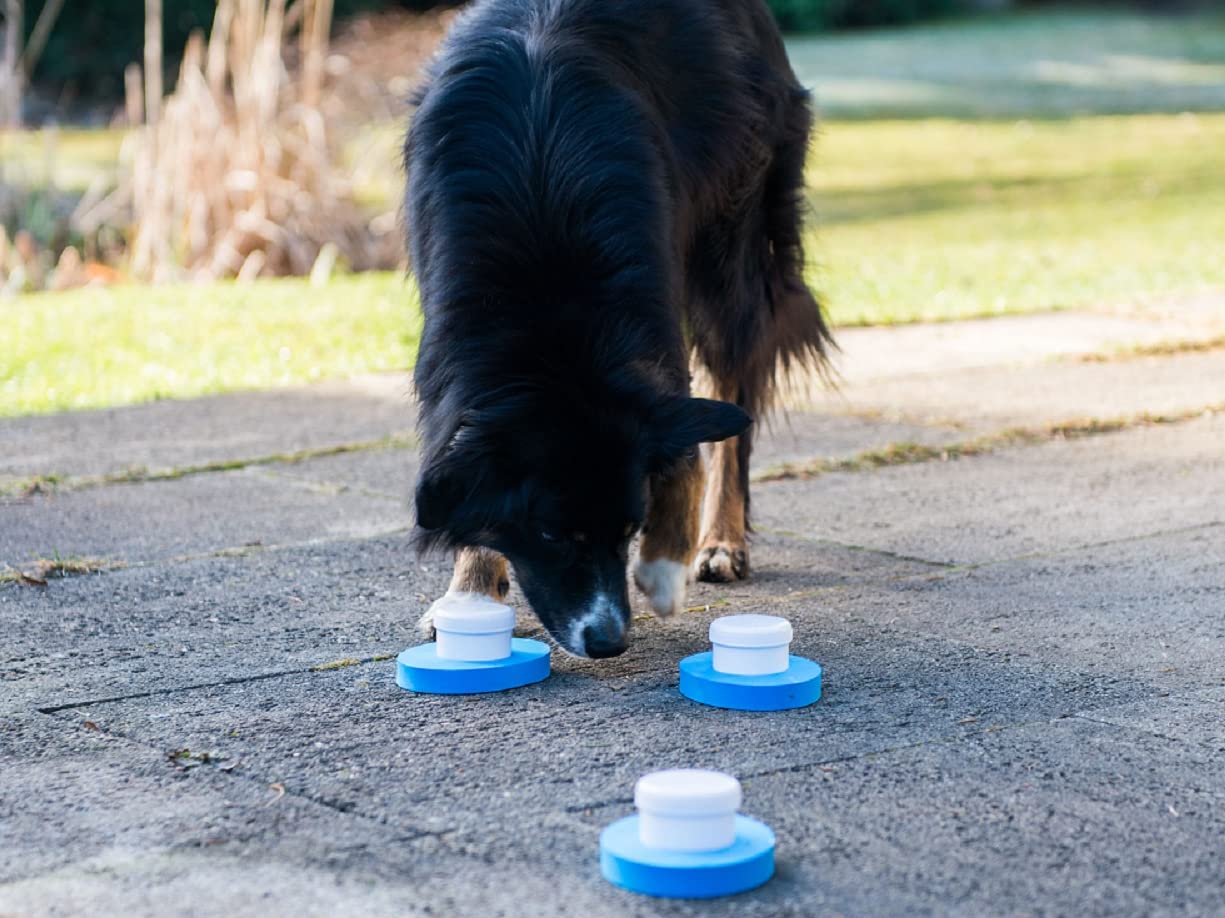 lemodo-f-hrtensuche-f-r-hunde-schn-ffelspiel-f-hrtensuchtraining image 2