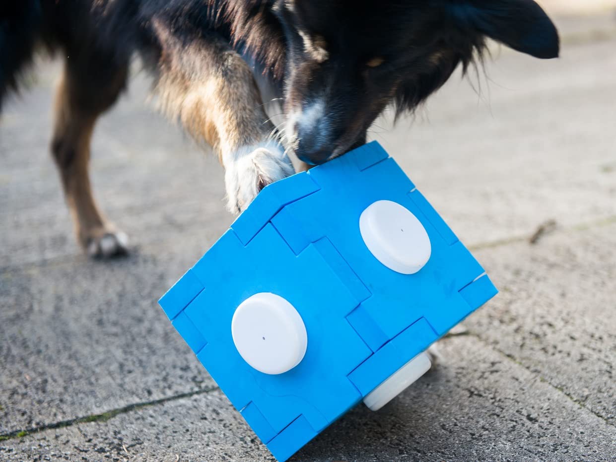 lemodo-nativ-schn-ffel-cube-schn-ffelspiel-f-r-hunde image 6