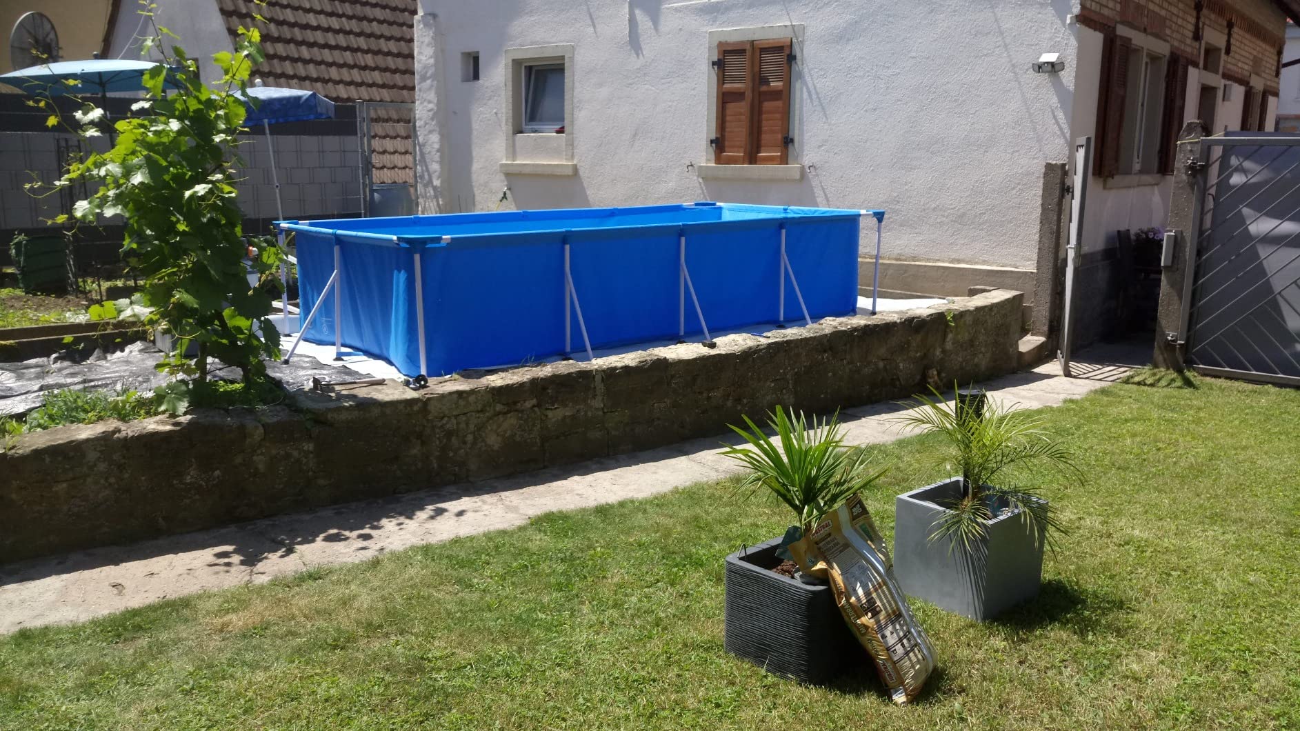 Sommer gerettet