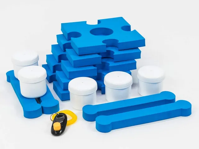 lemodo-schn-ffel-set-hundespielzeug-agility-geruchstraining image 1