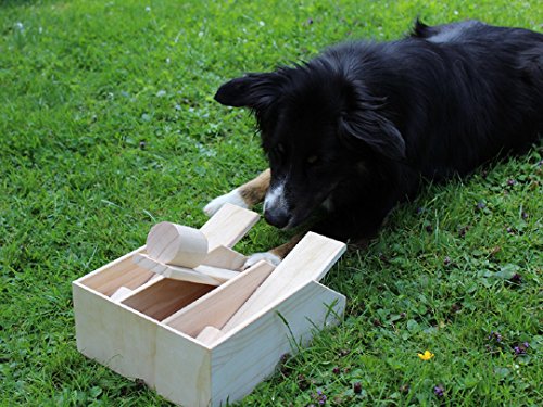 lemodo-hundepiano-aus-holz-29x22x10-cm-intelligenz-spielzeug image 3