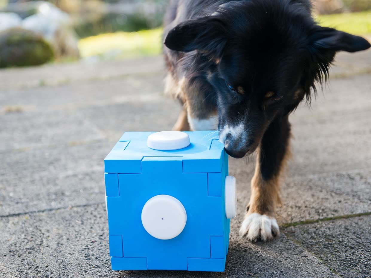 lemodo-nativ-schn-ffel-cube-schn-ffelspiel-f-r-hunde image 7