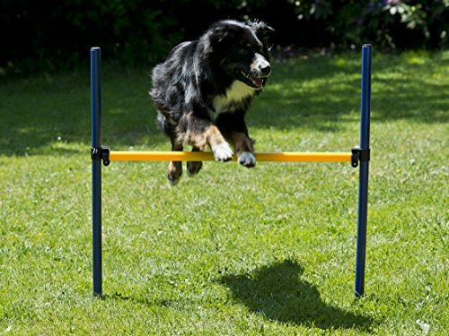 lemodo-hundetrainings-set-agility-starter-set-mit-tunnel-stangen-und-h-rde image 8