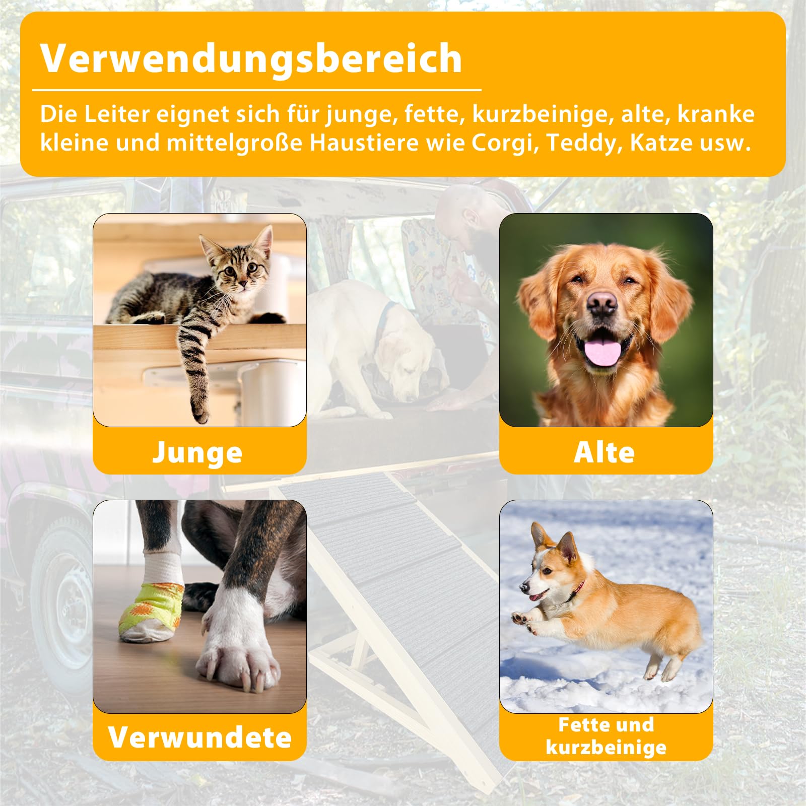 fivmen-hundetreppe-holz-faltbar-h-henverstellbar-100x40x60cm image 3