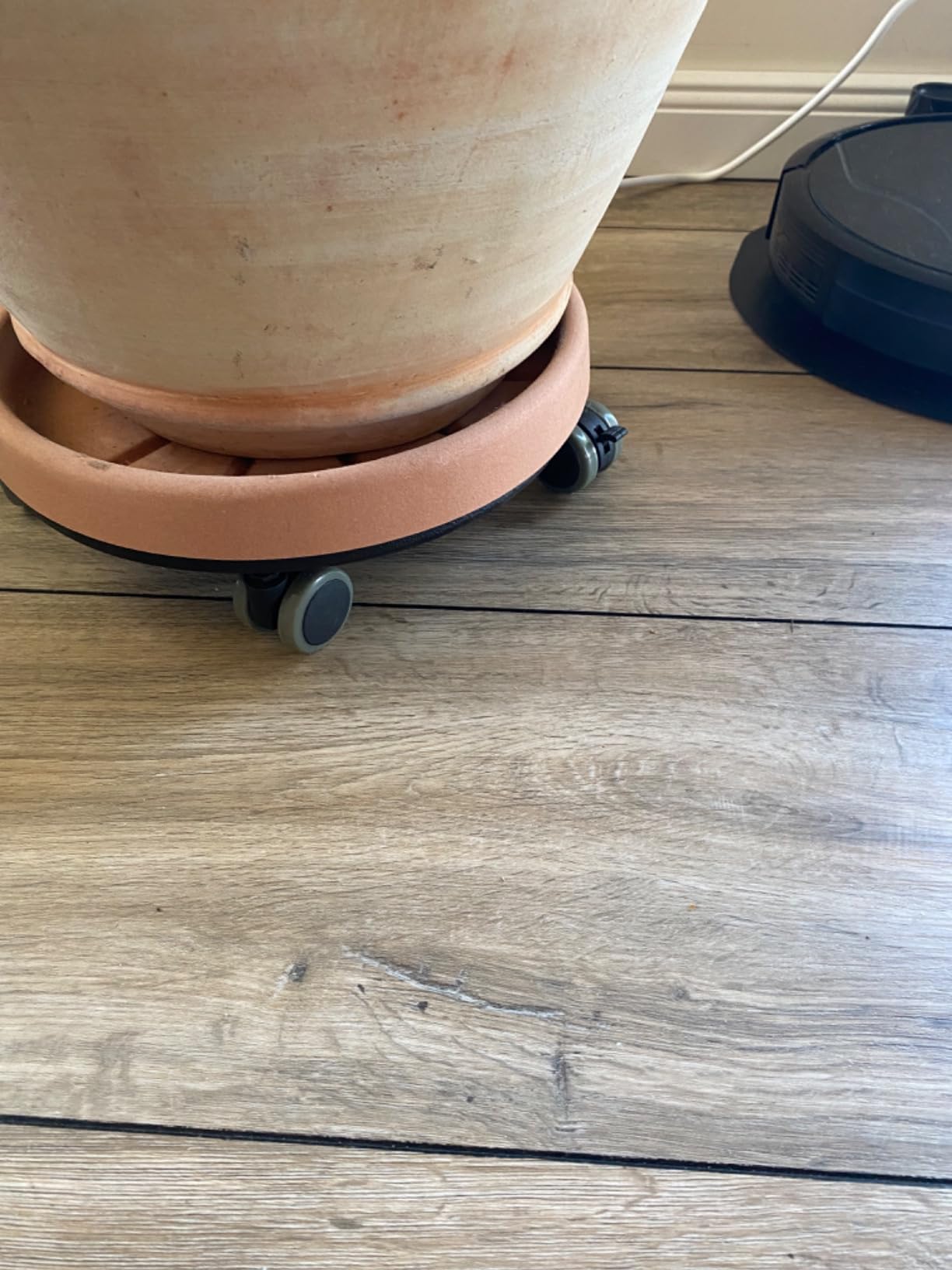 Endlich kann ich die Olive allein bewegen
