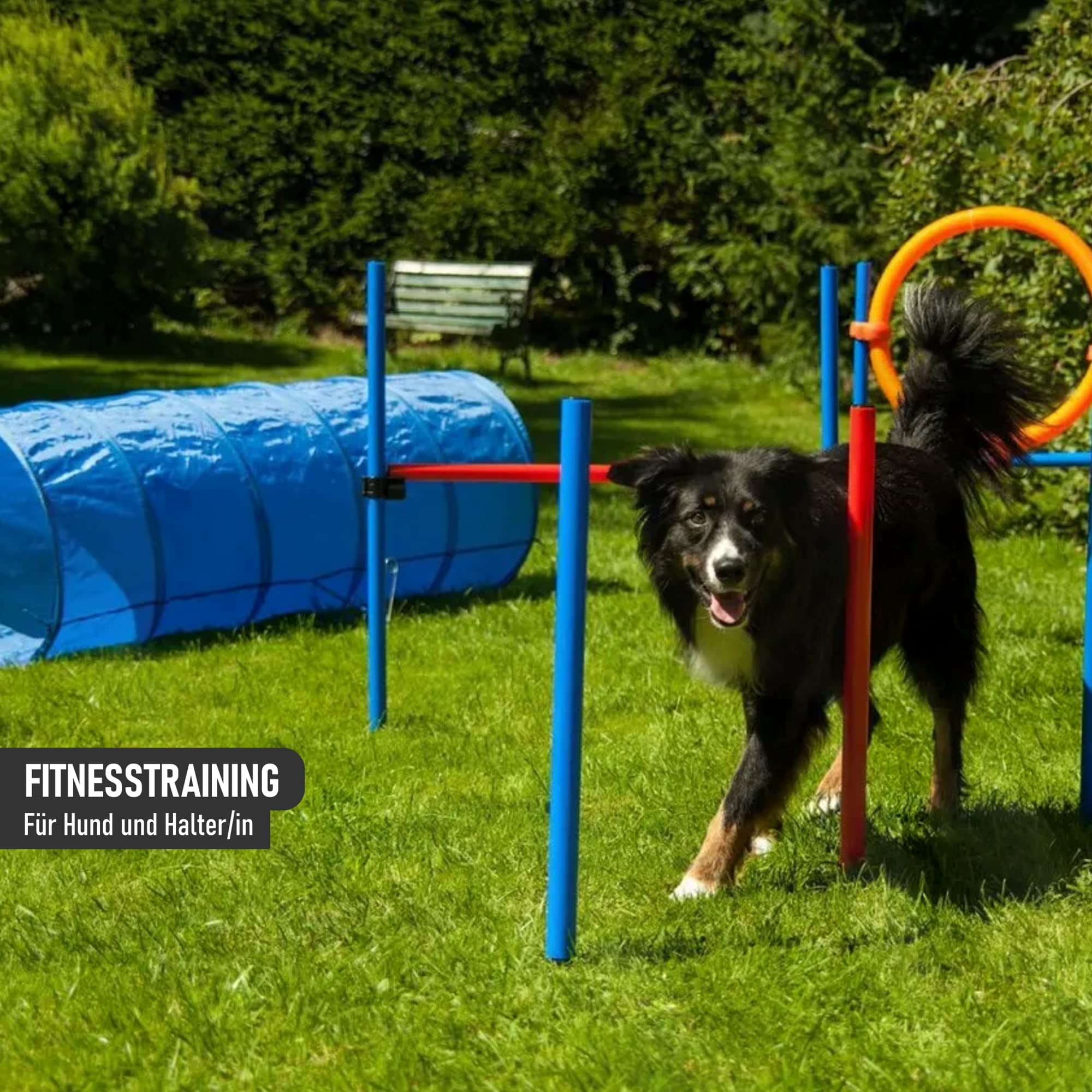 lemodo-nativ-agility-set-hunde-mit-h-rde-tunnel-und-sprungring image 7