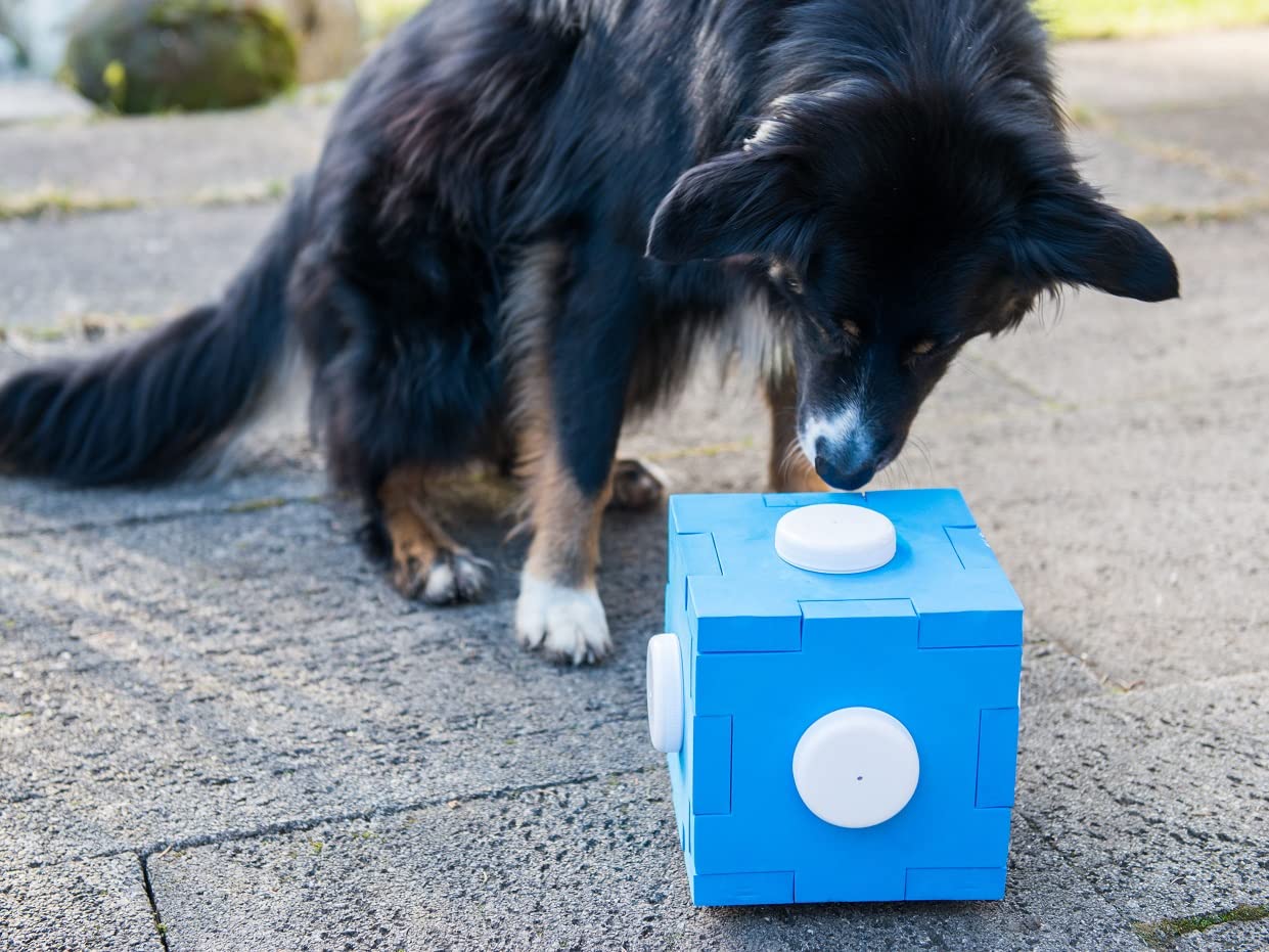 lemodo-nativ-schn-ffel-cube-schn-ffelspiel-f-r-hunde image 5