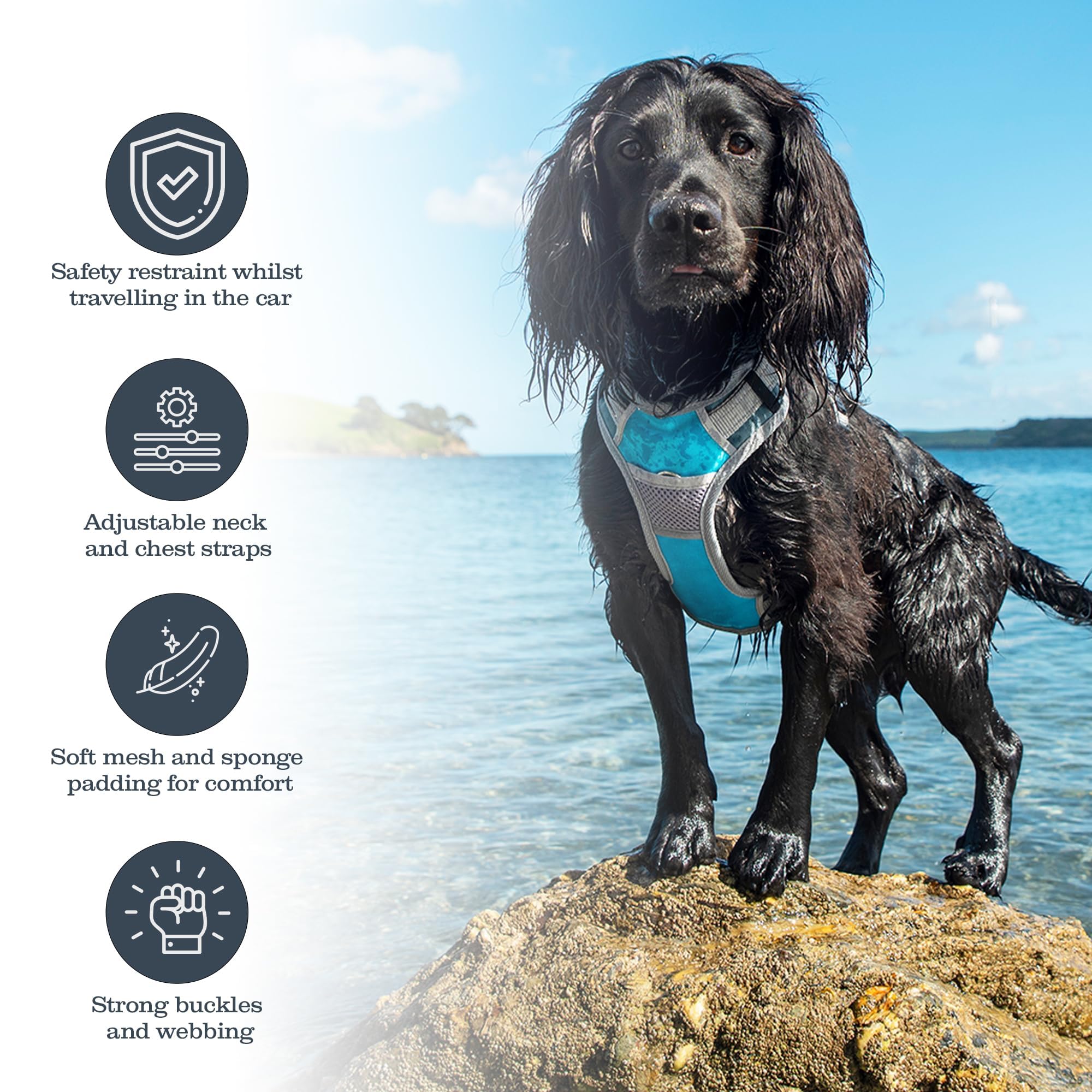 henry-wag-hunde-reisegeschirr-gr-e-l-mit-sicherheitsgurt-schlaufe image 3