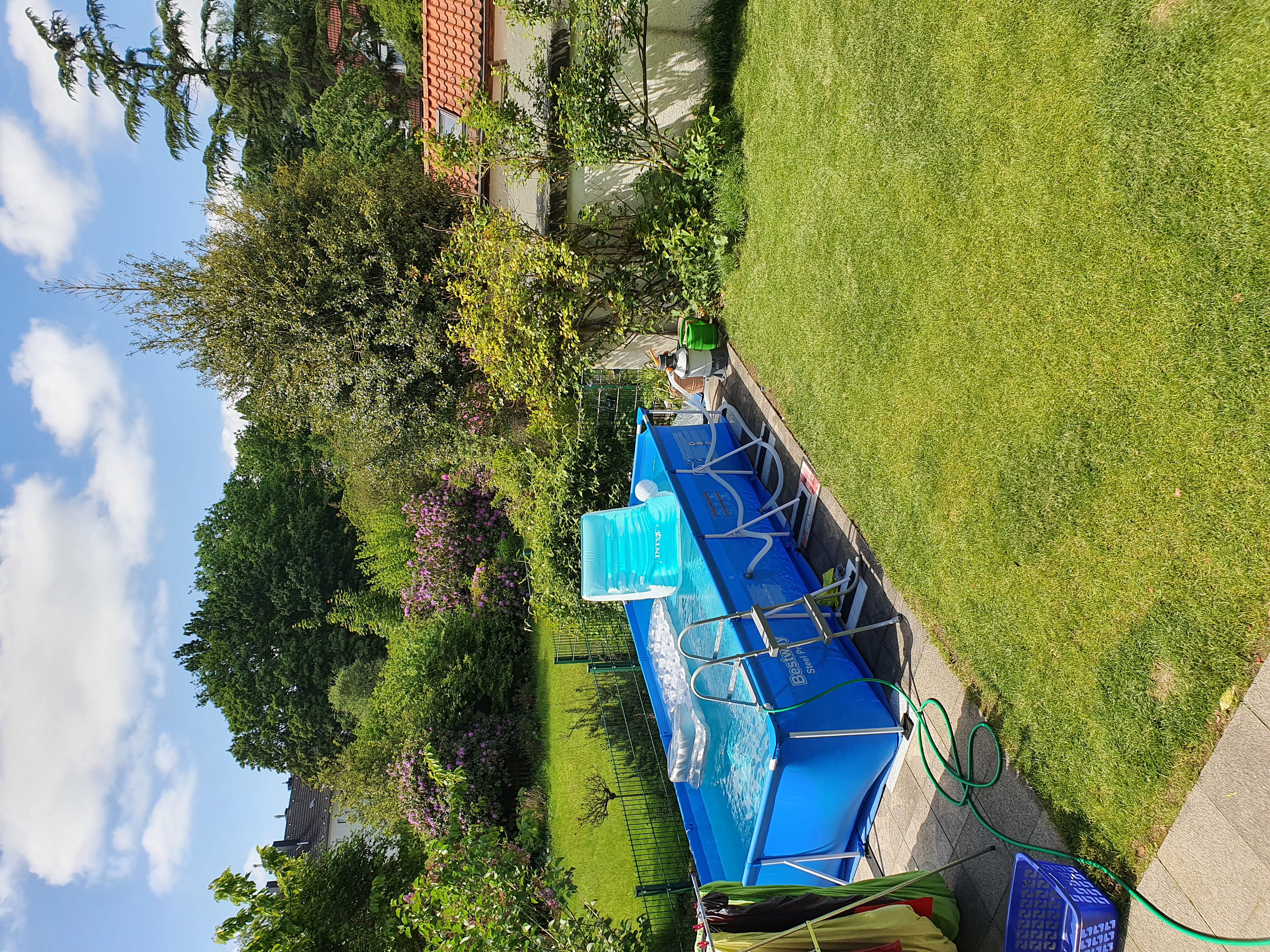 Sommer gerettet