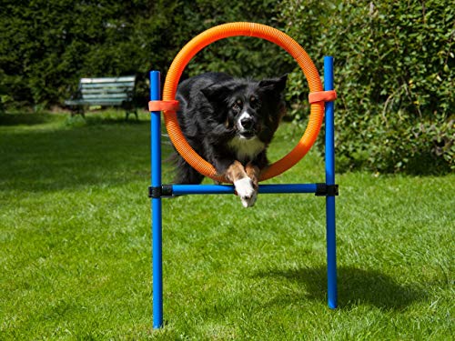 lemodo-agility-sprungring-orange-blau-f-r-hunde-mit-tragetasche image 2