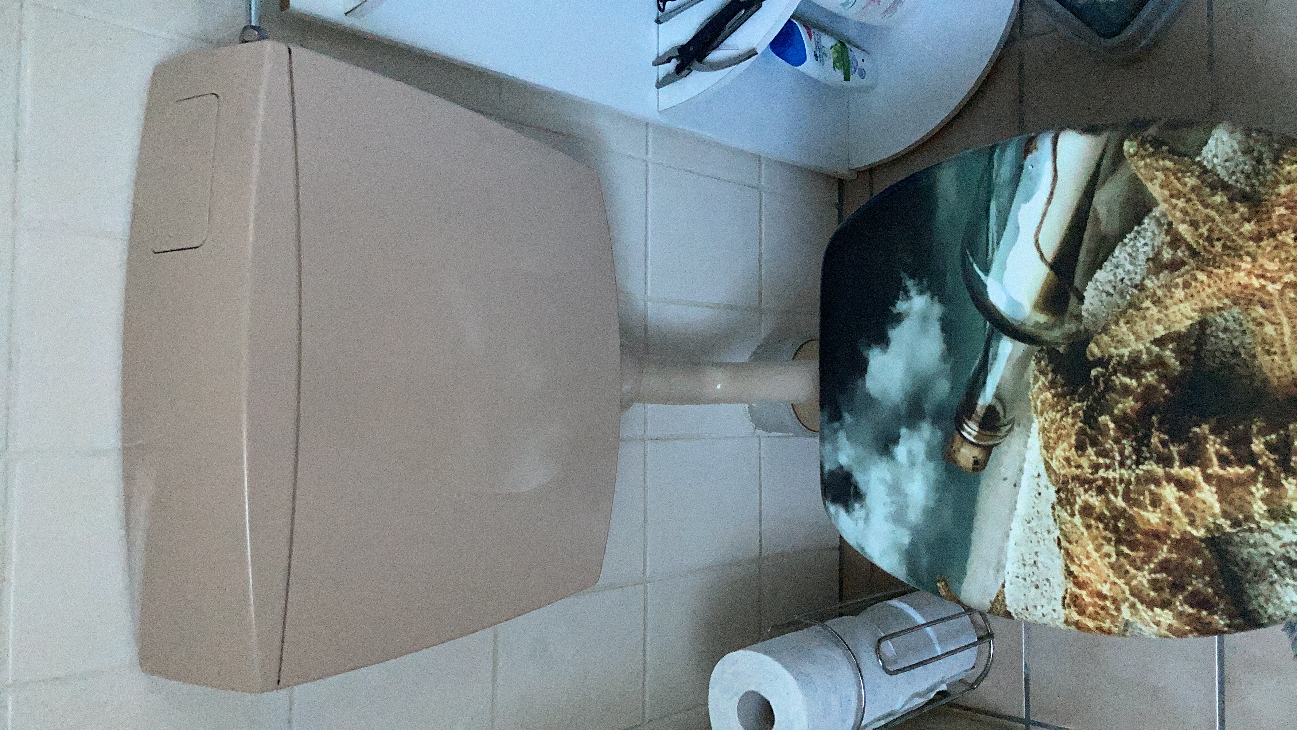 Passt perfekt zum Altbau-Bad