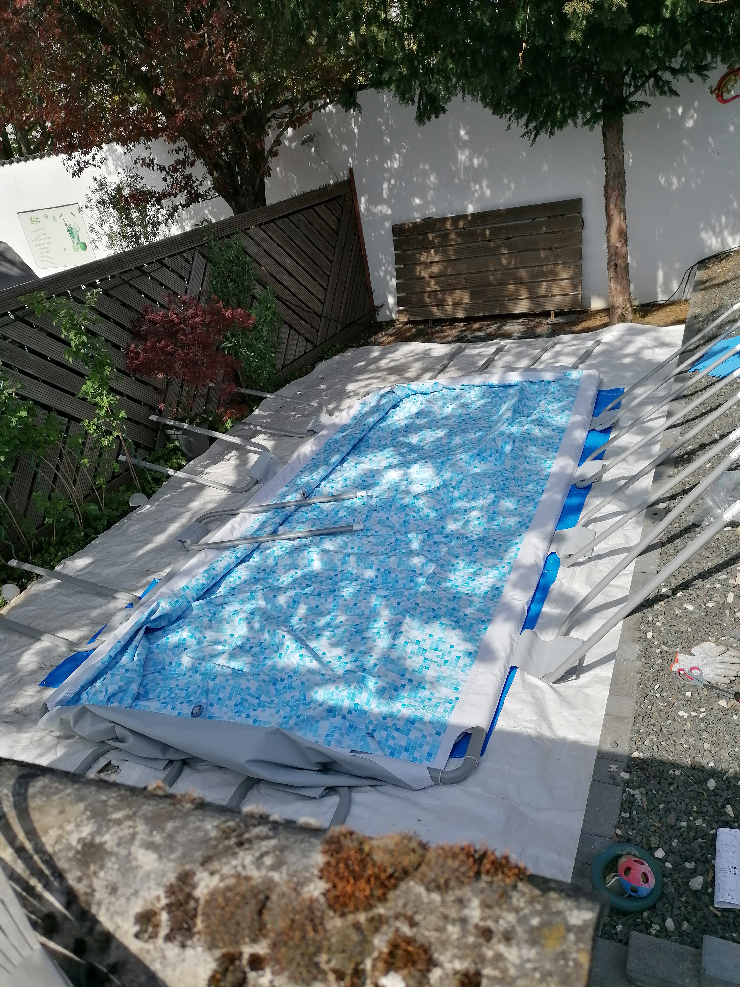 Sommerhit im Garten