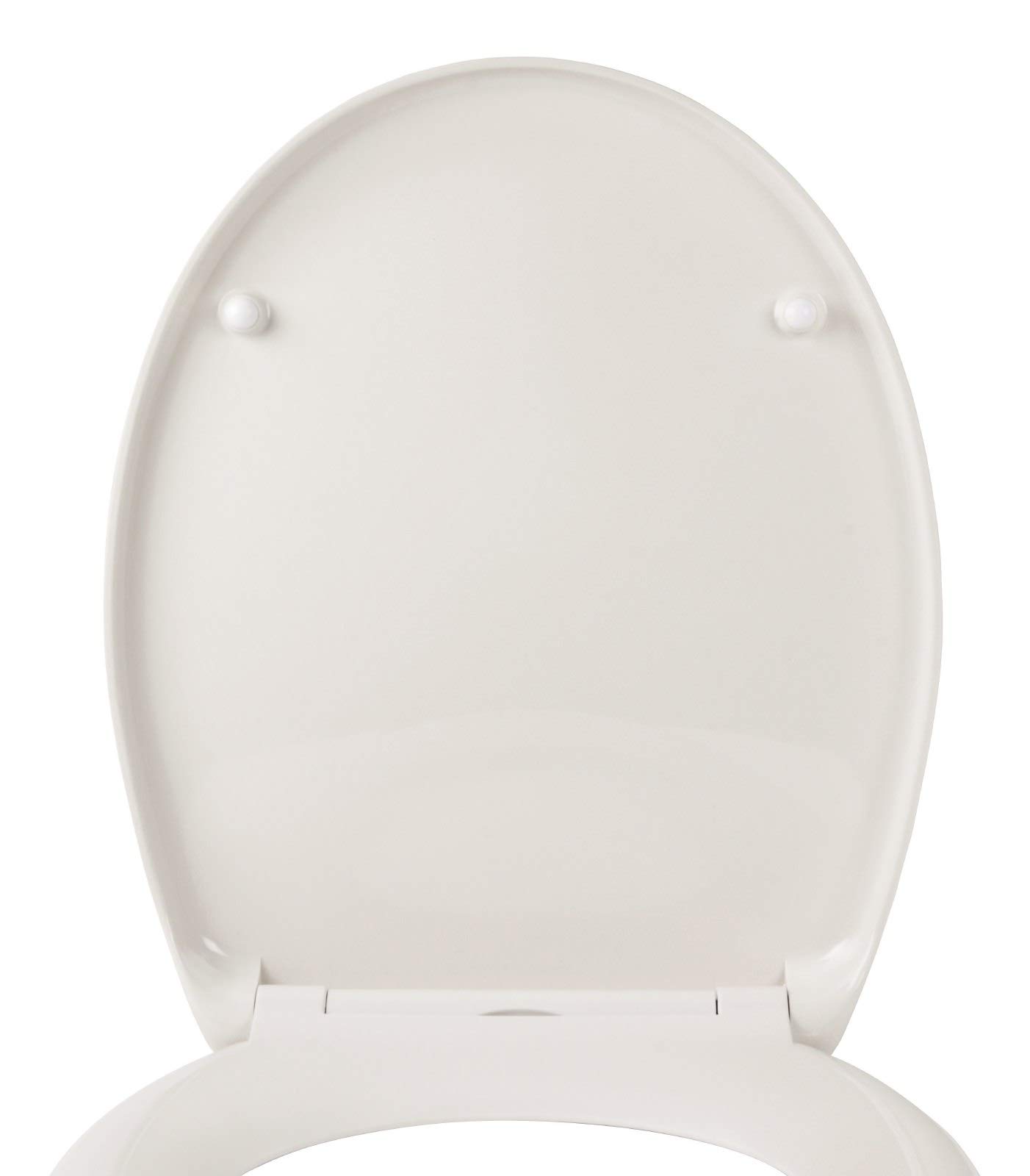 calmwaters-wild-flower-wc-sitz-blumen-motiv-mit-absenkautomatik-duroplast image 8