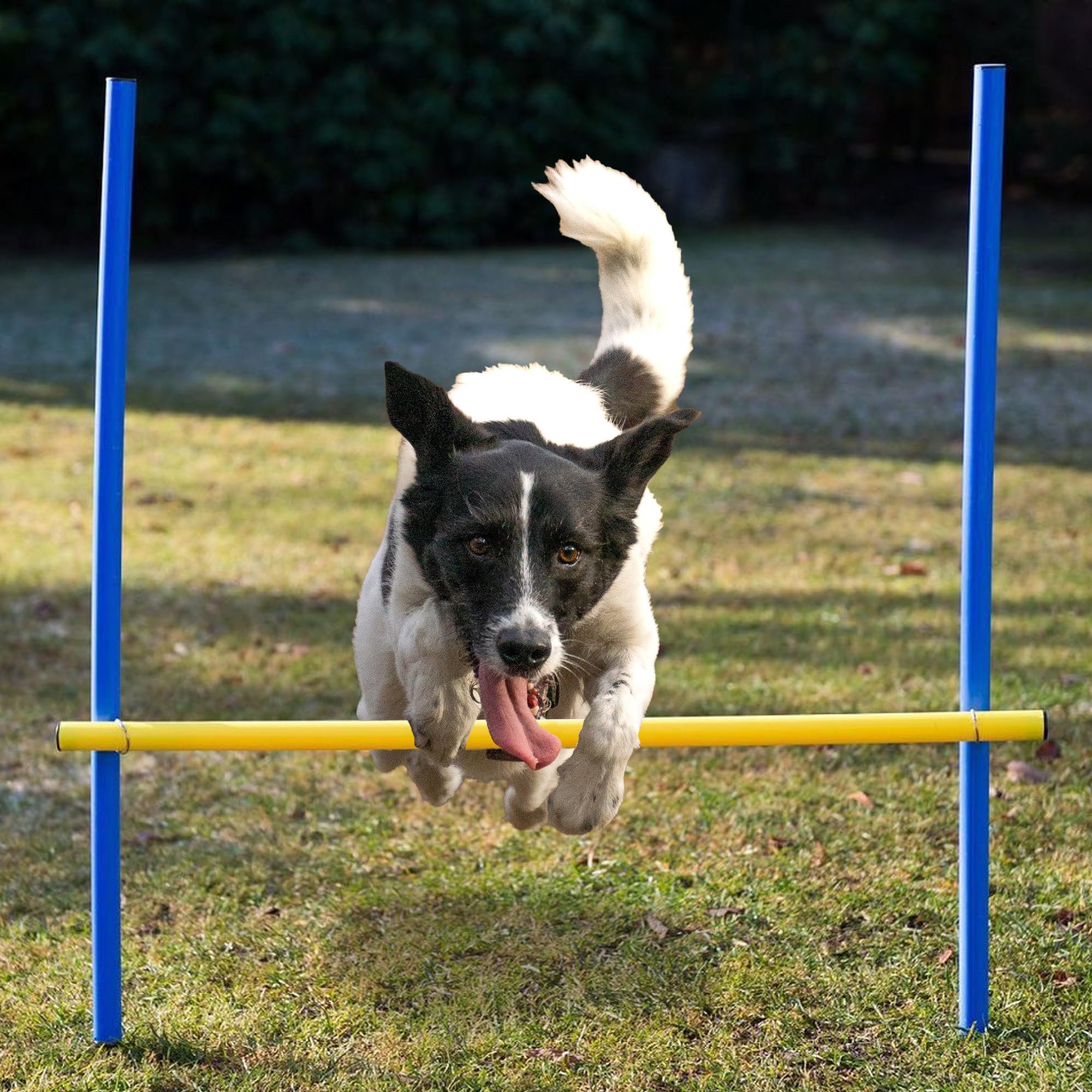 lemodo-agility-set-mit-tunnel-hundetraining-mit-h-rden-und-slalomstangen image 6
