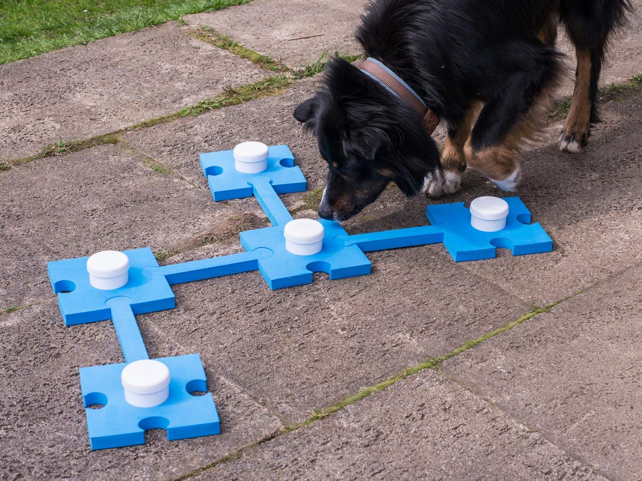 lemodo-schn-ffel-set-hundespielzeug-agility-geruchstraining image 2