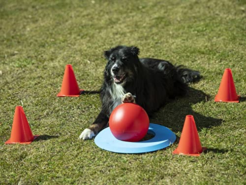 lemodo-nativ-golf-spielset-f-r-hunde-intelligenzspiel-agility image 8