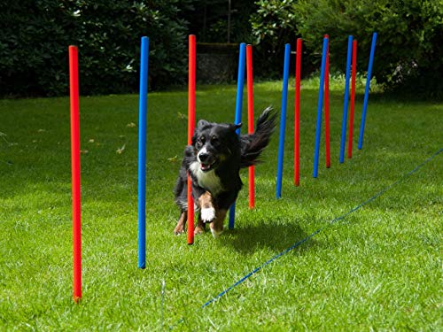 lemodo-agility-set-f-r-hunde-12-slalomstangen-mit-tragetasche image 2