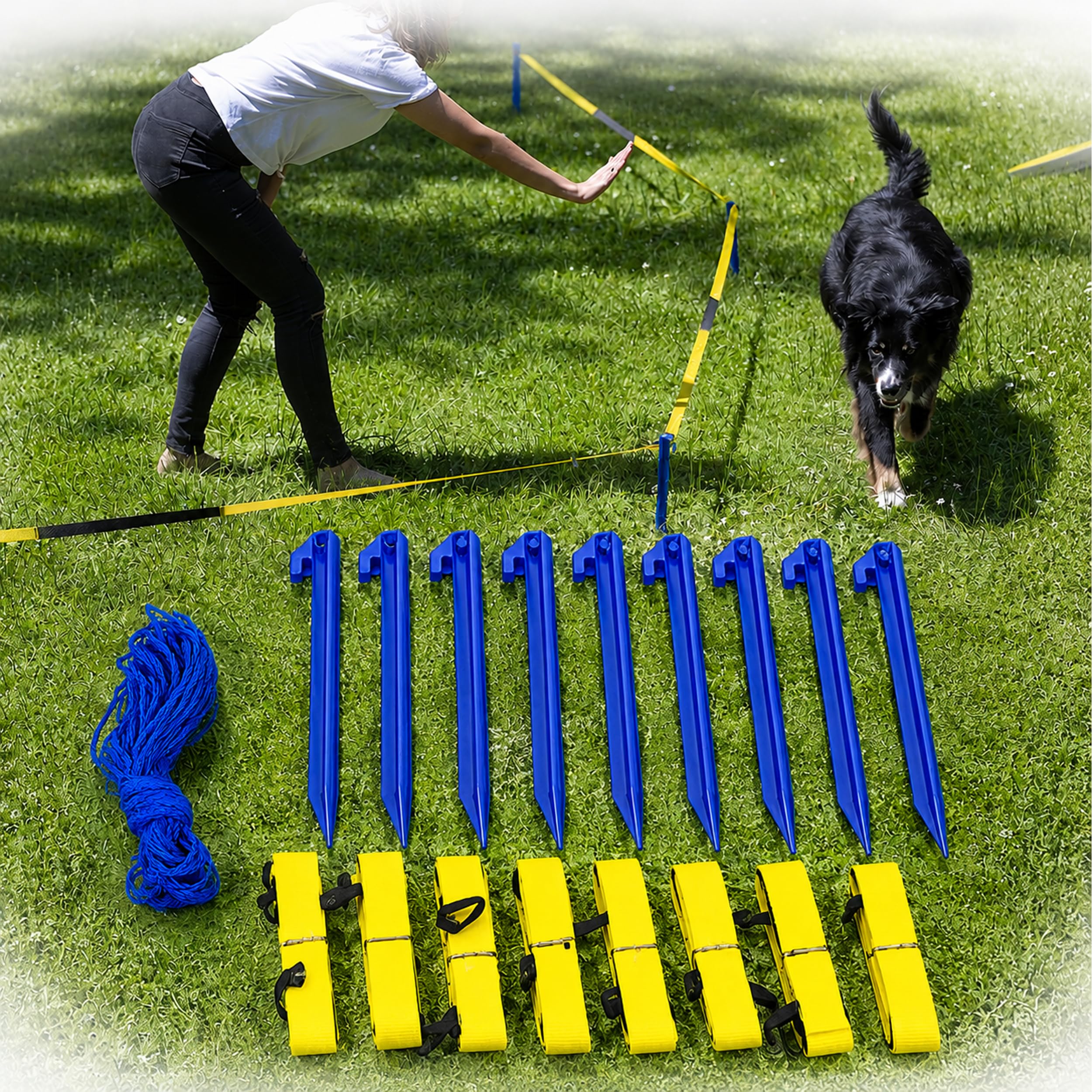 lemodo-longier-set-f-r-hunde-radius-3-3-5-m-hundetraining-set-zur-bindung image 7