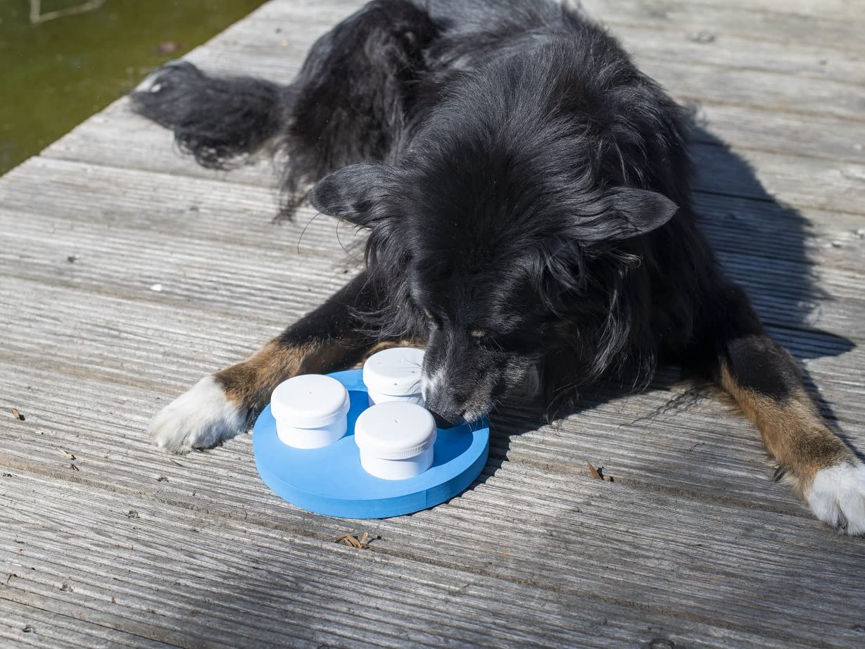 lemodo-schn-ffelset-f-r-hunde-mit-3-dosen-und-klicker image 3