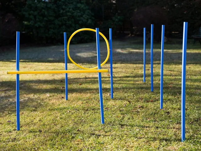 lemodo-agility-set-f-r-hunde-mit-slalom-h-rde-jumpring image 1