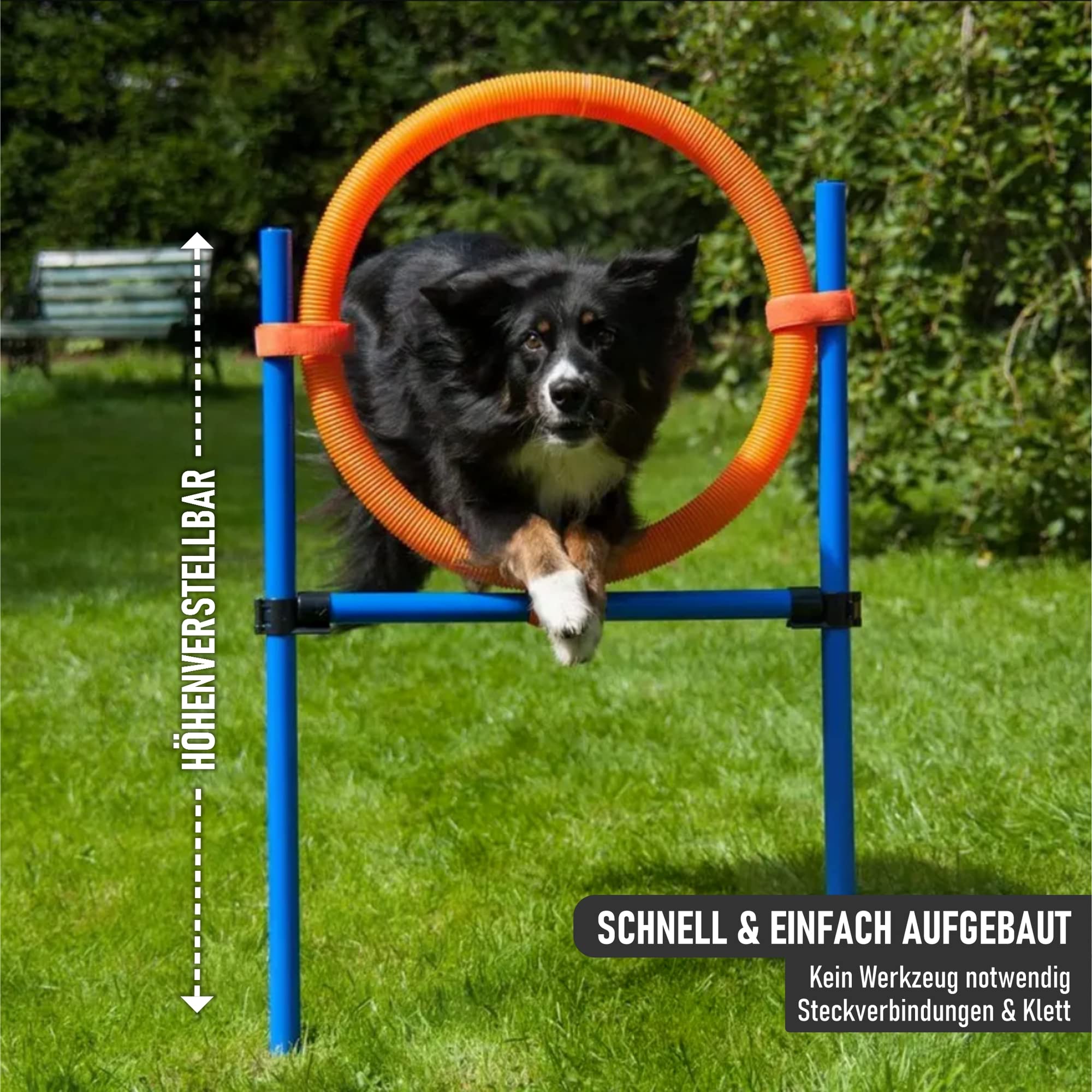 lemodo-nativ-agility-set-hunde-mit-h-rde-tunnel-und-sprungring image 4