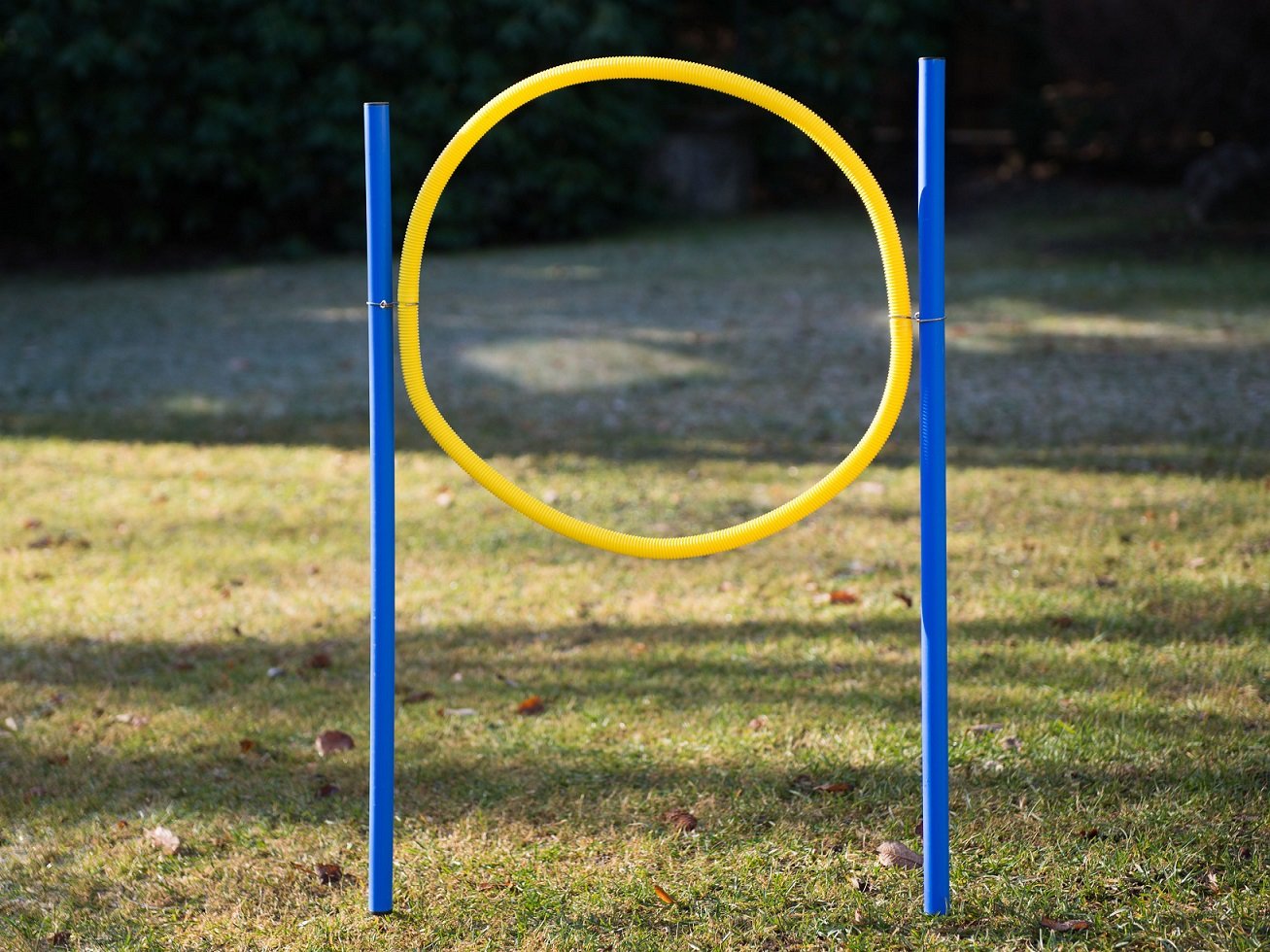 lemodo-agility-set-f-r-hunde-mit-slalom-h-rde-jumpring image 2