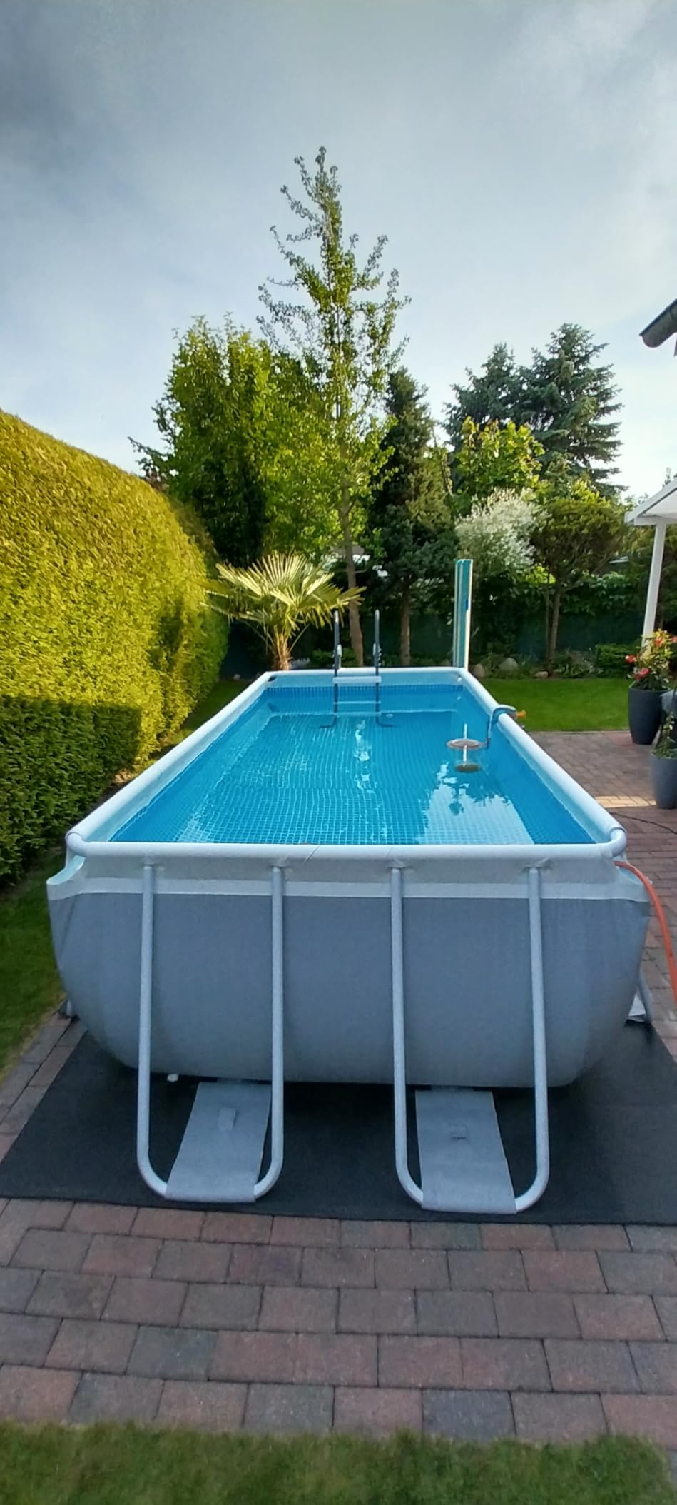 Endlich Sommer im Garten