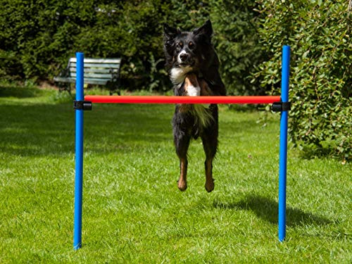lemodo-agility-h-rde-rot-blau-h-henverstellbar-mit-tasche image 3