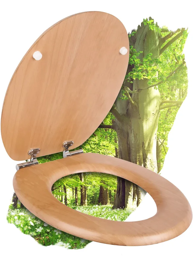 calmwaters-wc-sitz-modern-wellness-echtholz-buche-mit-absenkautomatik-o-form image 1