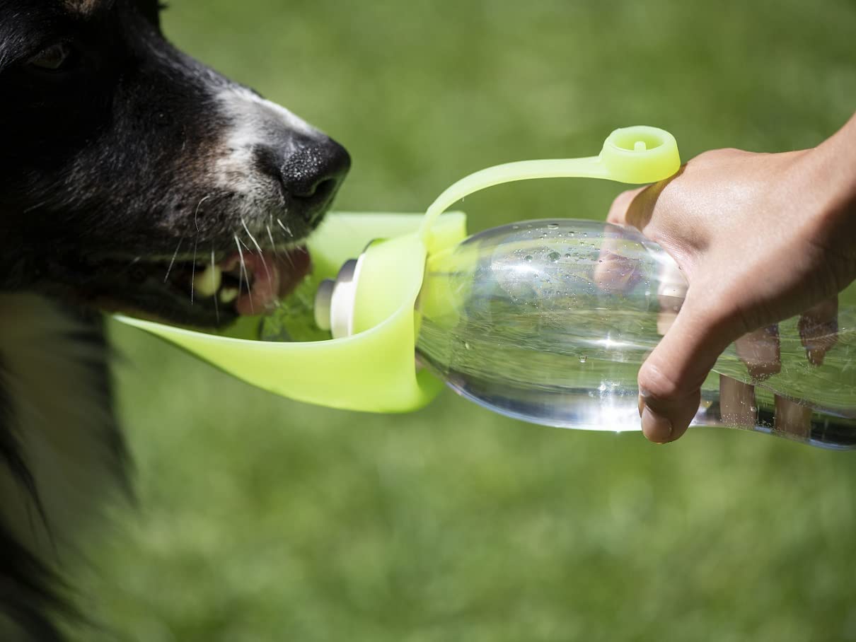 lemodo-hunde-set-to-go-4-teilig-trinkflasche-napf-leckerli-tasche-kotbeutelspend image 8