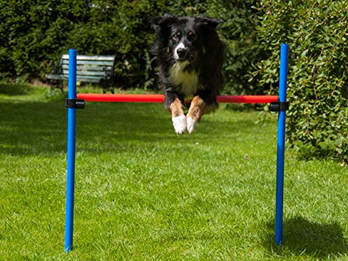 lemodo-agility-h-rde-rot-blau-h-henverstellbar-mit-tasche image 4