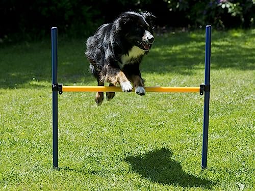 lemodo-agility-set-f-r-hunde-h-rden-und-stangen-set image 6