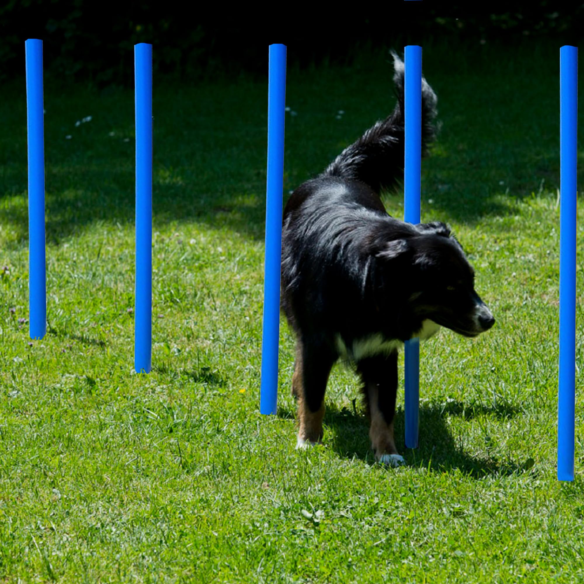 lemodo-agility-set-mit-tunnel-hundetraining-mit-h-rden-und-slalomstangen image 8