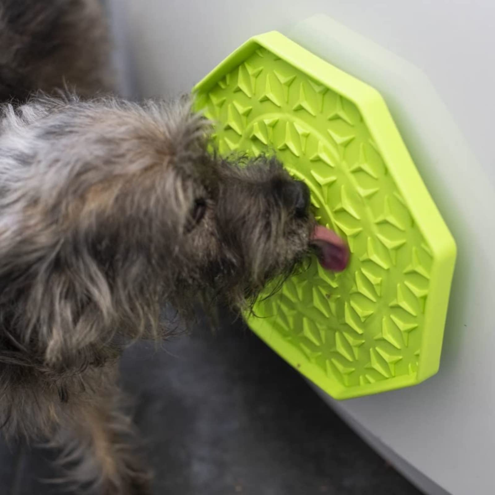lemodo-ladi-mat-leckmatte-hund-katze-hellgr-n-8-eckig-25-cm-silikon-mit-wobbler- image 6
