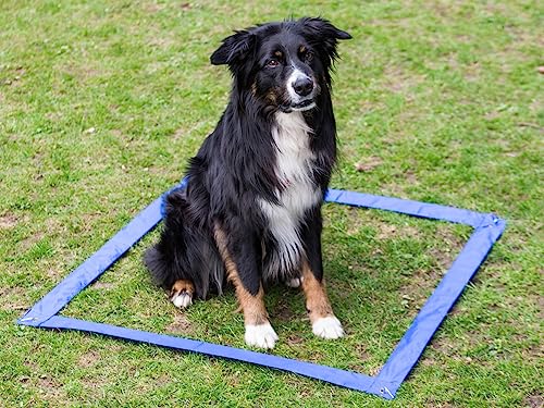lemodo-agility-set-f-r-hunde-h-rden-und-stangen-set image 7