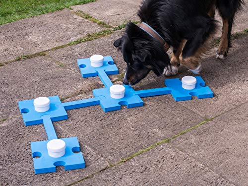 lemodo-schn-ffel-set-hundespielzeug-agility-geruchstraining image 4