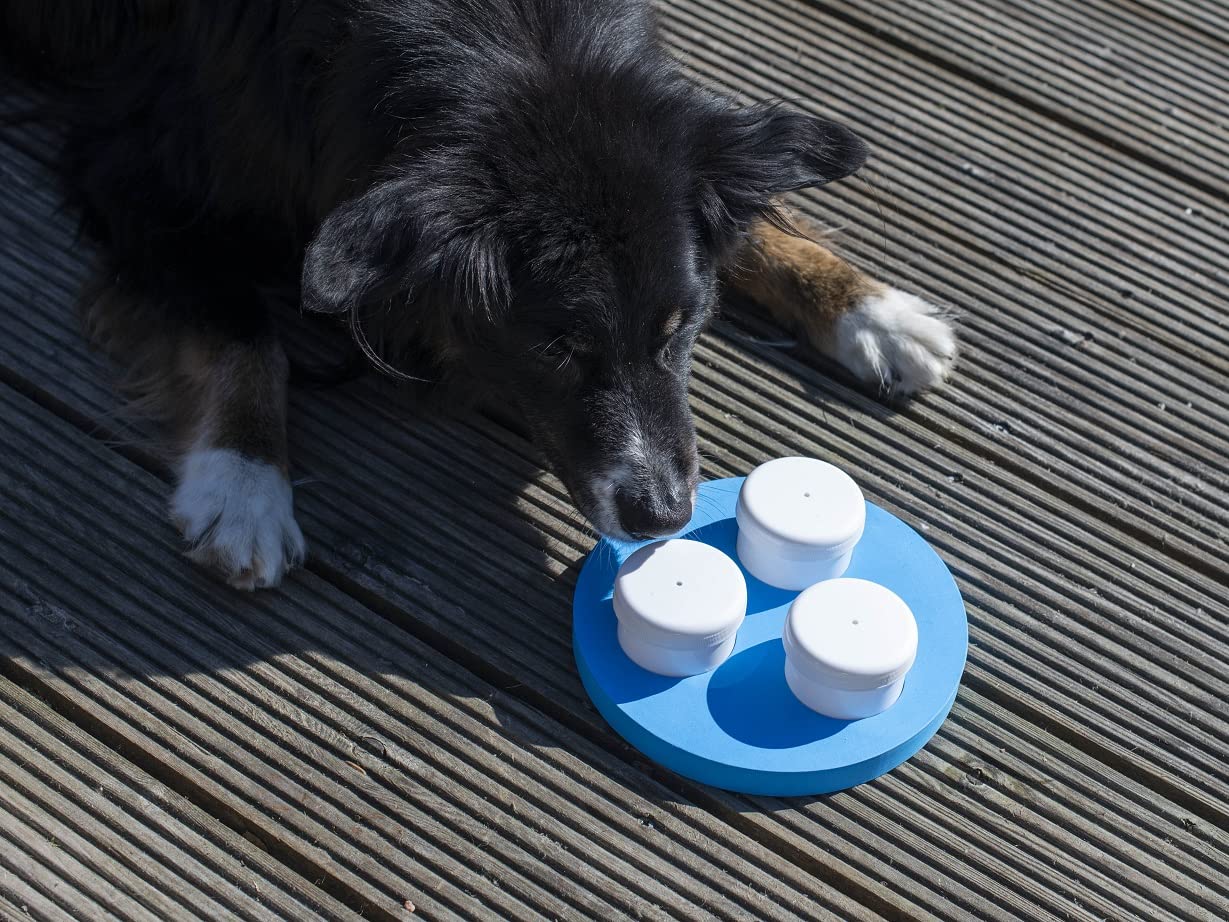 lemodo-schn-ffelset-f-r-hunde-mit-3-dosen-und-klicker image 2