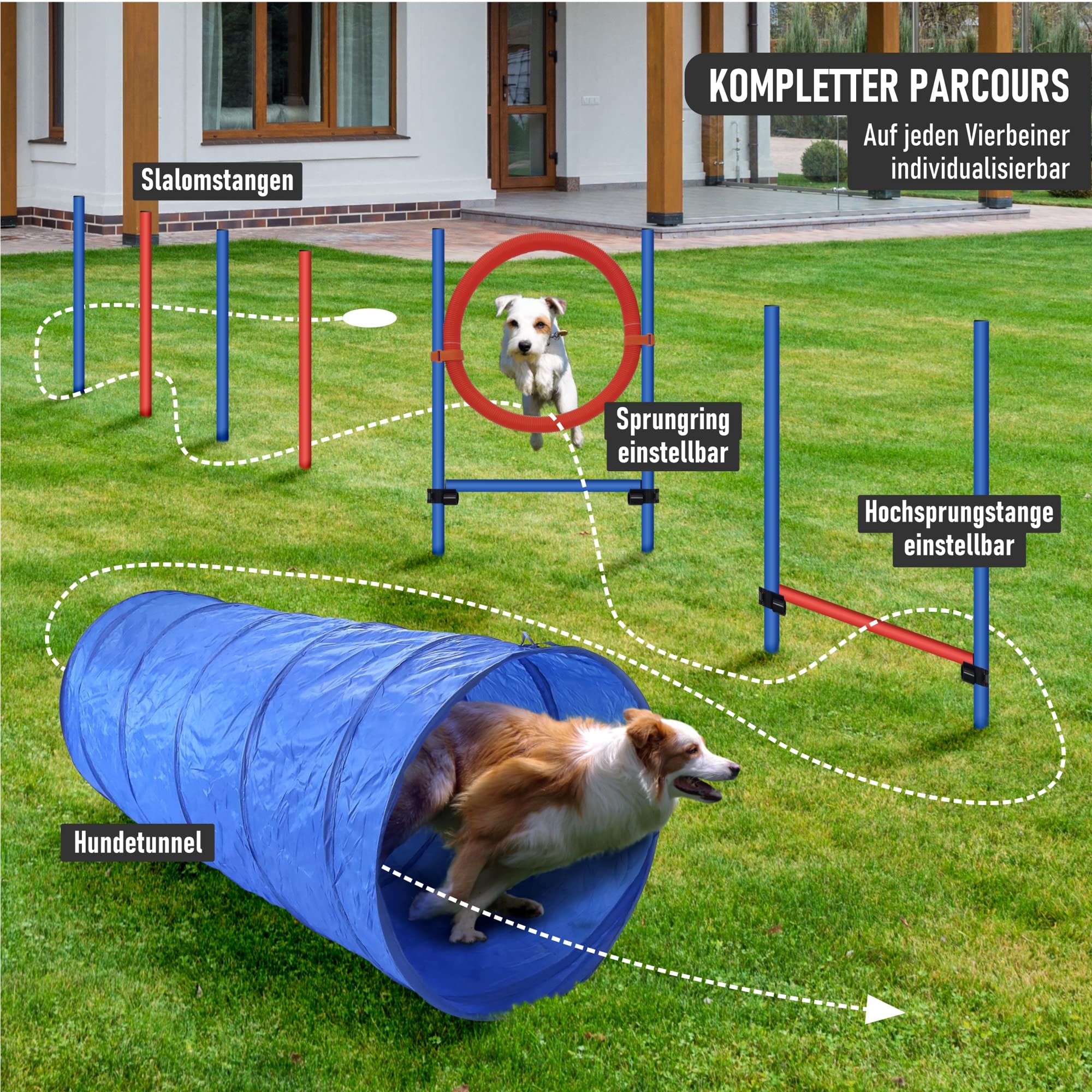 lemodo-nativ-agility-set-hunde-mit-h-rde-tunnel-und-sprungring image 2