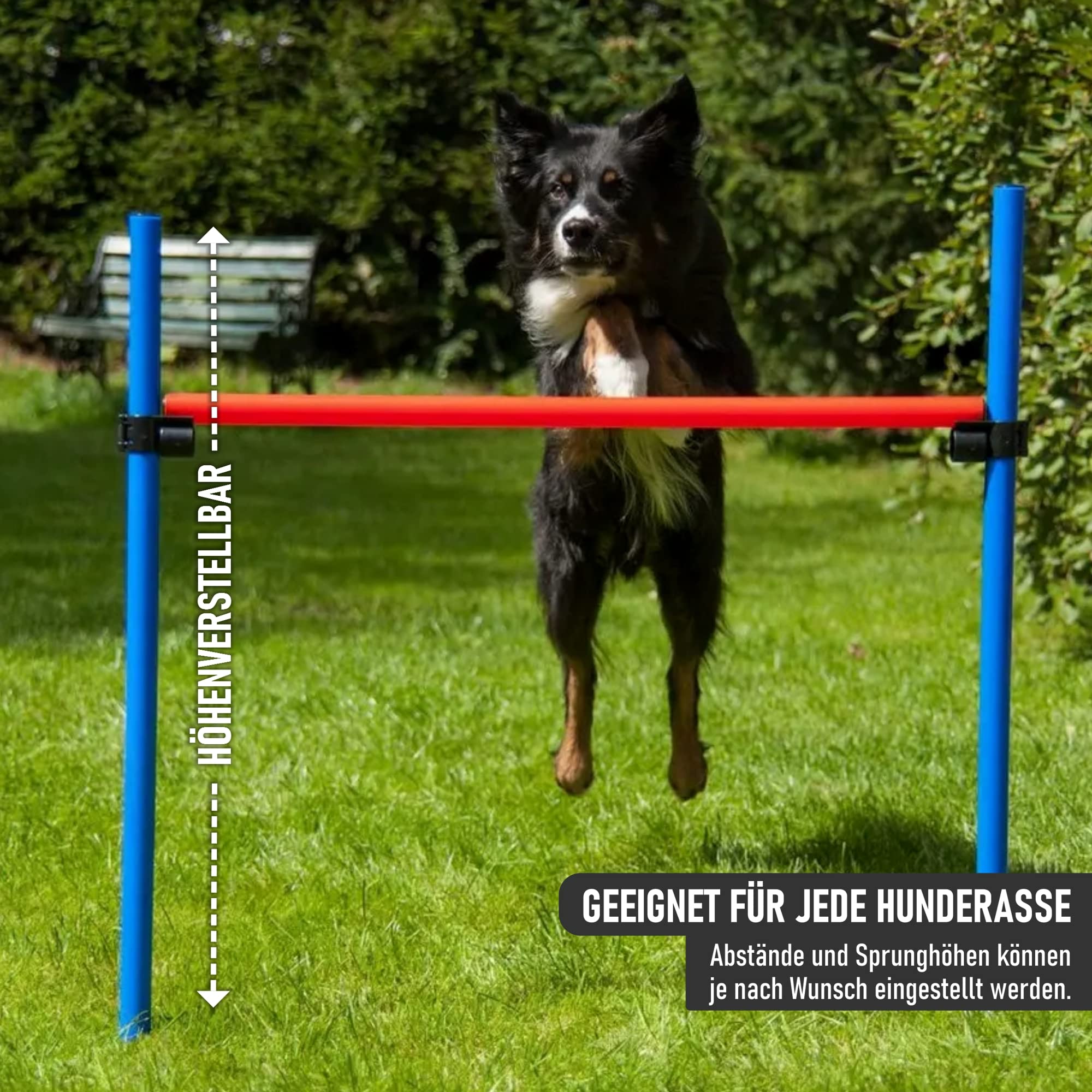 lemodo-nativ-agility-set-hunde-mit-h-rde-tunnel-und-sprungring image 6