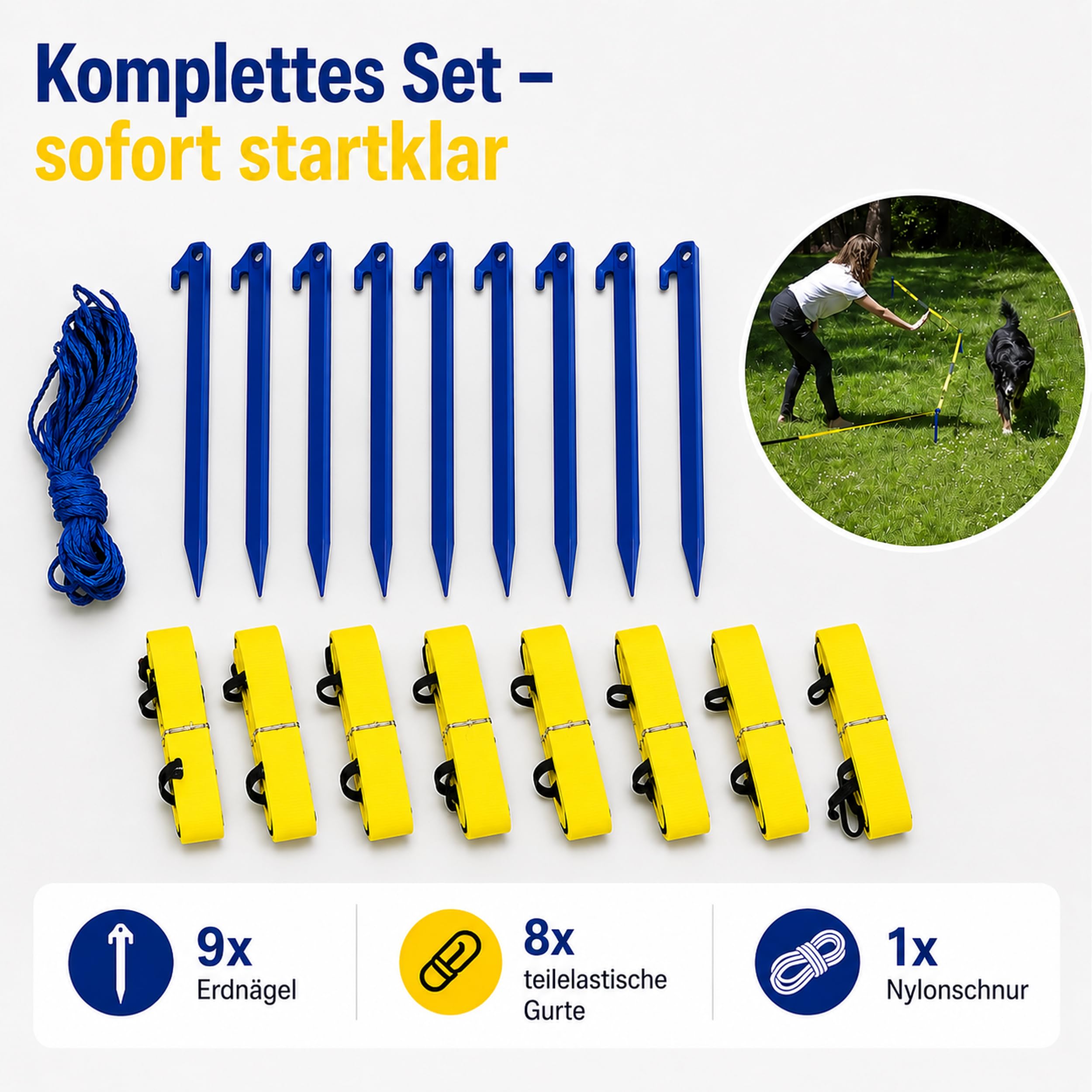 lemodo-longier-set-f-r-hunde-radius-3-3-5-m-hundetraining-set-zur-bindung image 3