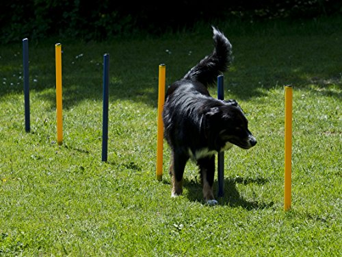 lemodo-hundetrainings-set-agility-starter-set-mit-tunnel-stangen-und-h-rde image 7