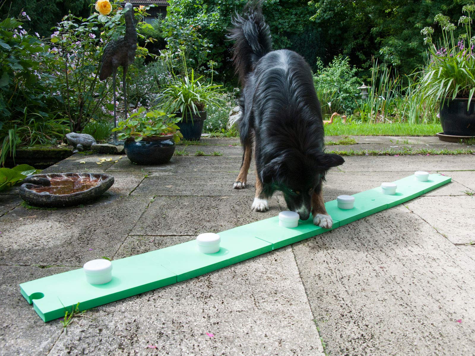 lemodo-schn-ffelspa-hundespielzeug-gr-n-6-dosen-6-platten image 4