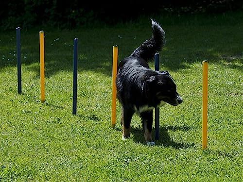 lemodo-agility-set-f-r-hunde-h-rden-und-stangen-set image 8