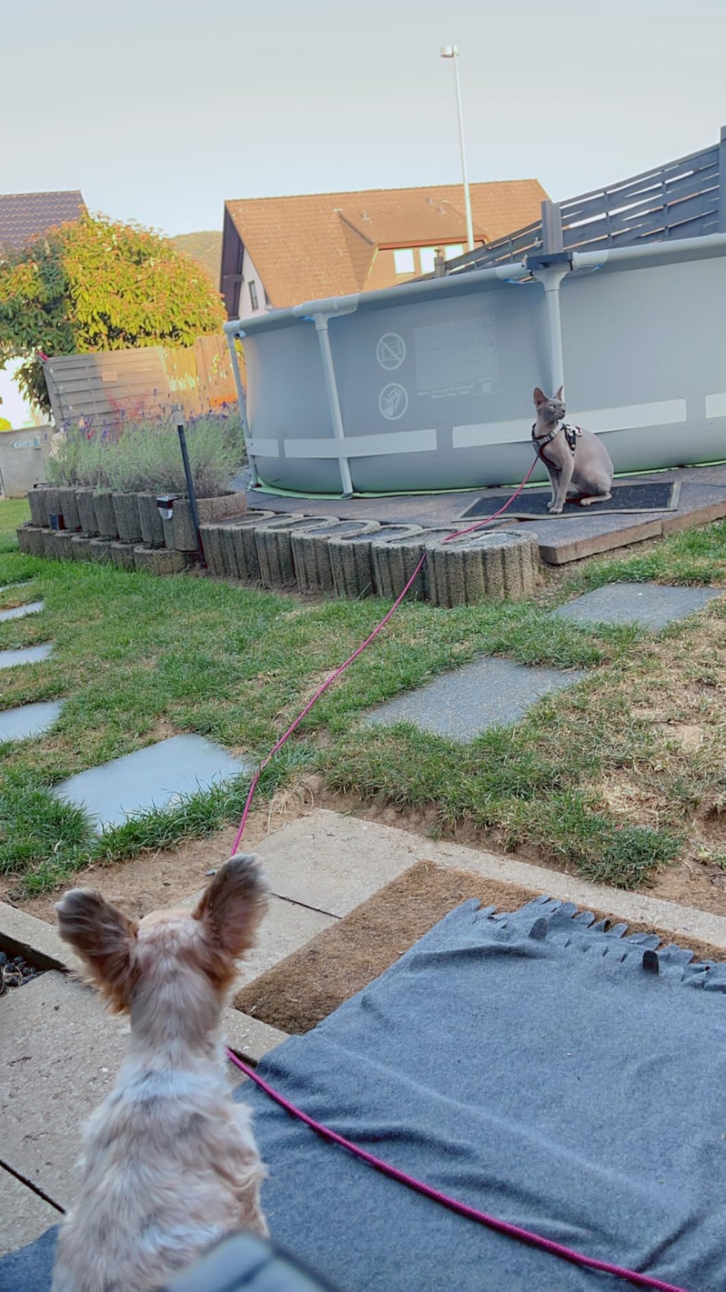 Endlich Sommer im Garten