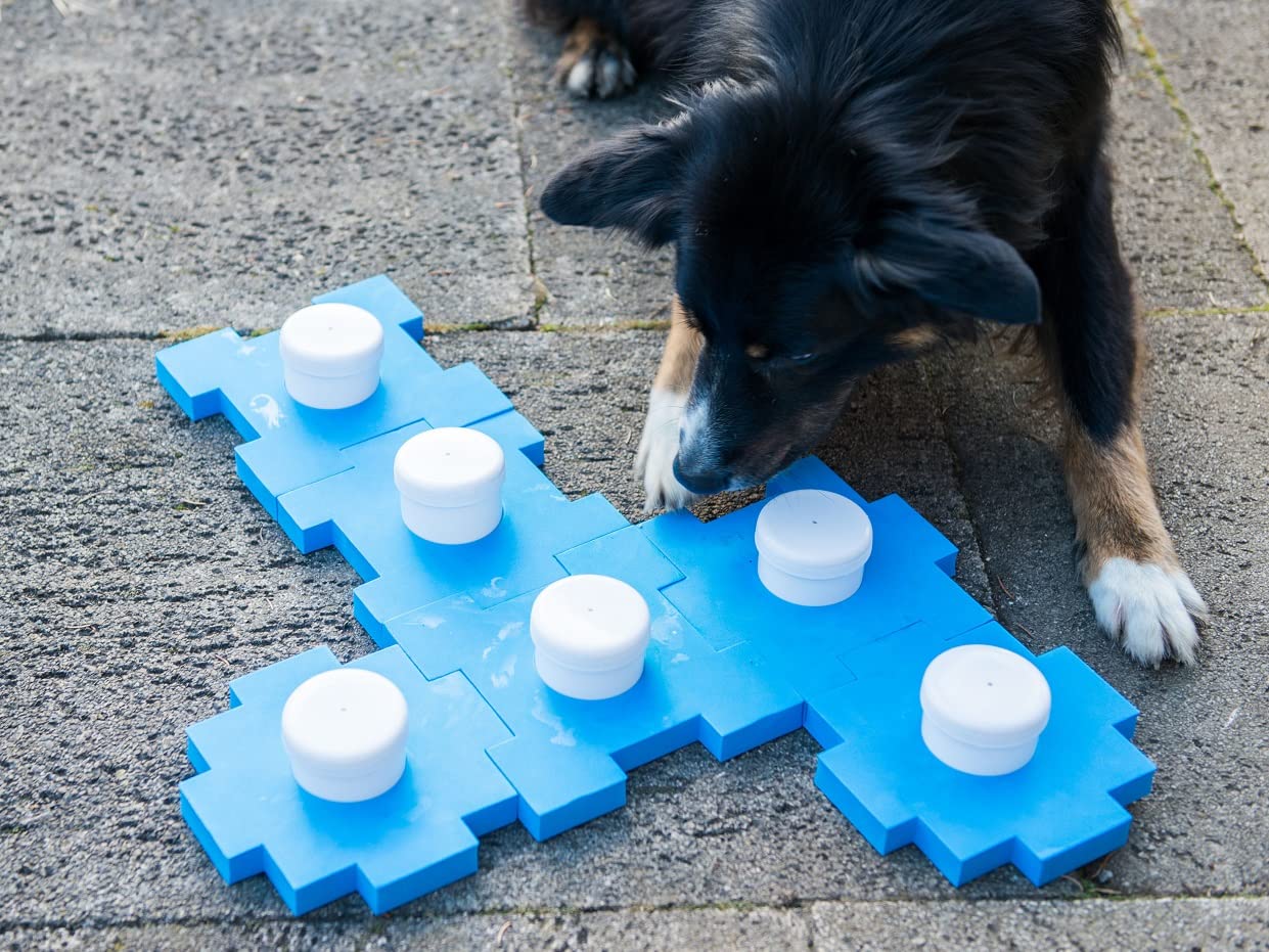 lemodo-nativ-schn-ffel-cube-schn-ffelspiel-f-r-hunde image 4