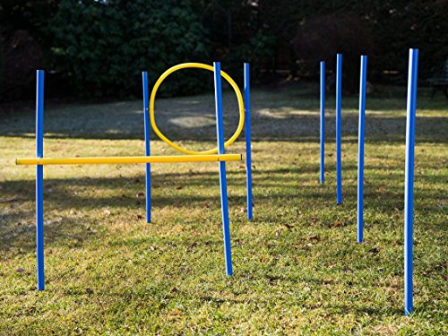 lemodo-agility-set-f-r-hunde-mit-slalom-h-rde-jumpring image 4