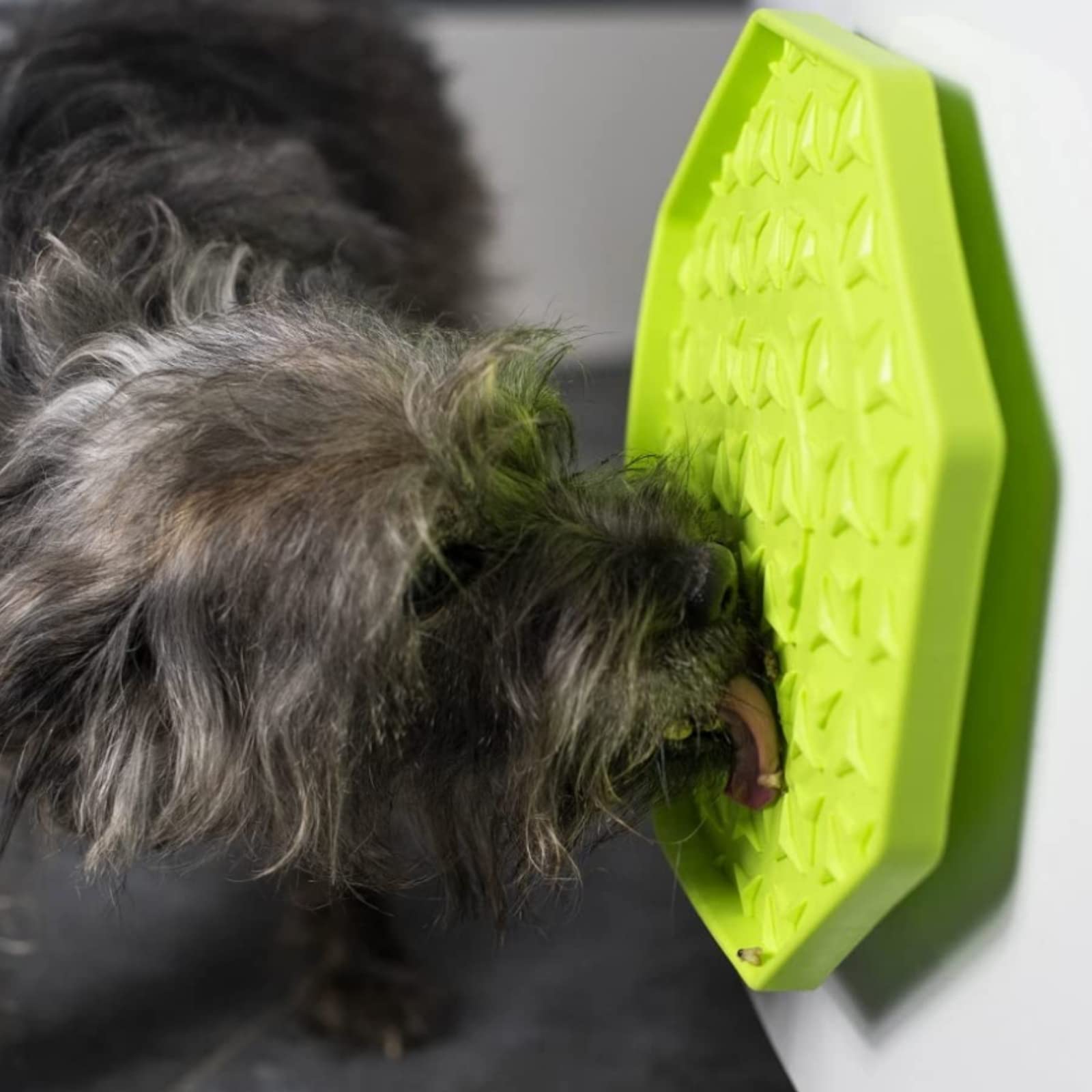 lemodo-ladi-mat-leckmatte-hund-katze-hellgr-n-8-eckig-25-cm-silikon-mit-wobbler- image 7